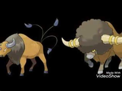 Bouffalant vs Tauros .